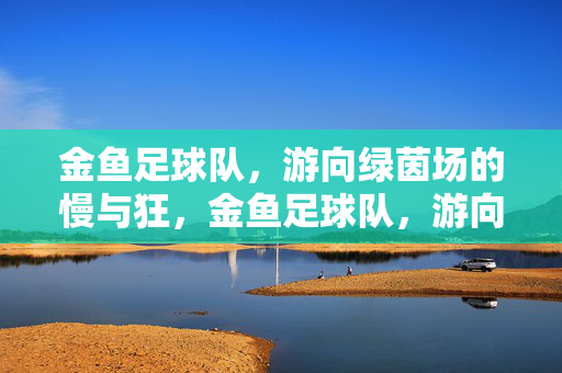 金鱼足球队，游向绿茵场的慢与狂，金鱼足球队，游向绿茵场的慢与狂