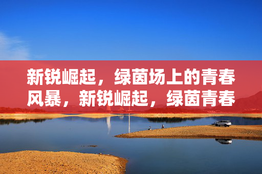 新锐崛起，绿茵场上的青春风暴，新锐崛起，绿茵青春风暴