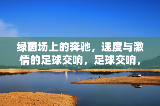绿茵场上的奔驰，速度与激情的足球交响，足球交响，绿茵场上的速度与激情奔驰