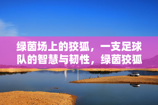 绿茵场上的狡狐，一支足球队的智慧与韧性，绿茵狡狐，足球队的智慧与韧性