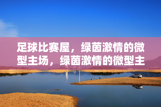 足球比赛屋，绿茵激情的微型主场，绿茵激情的微型主场——足球比赛屋