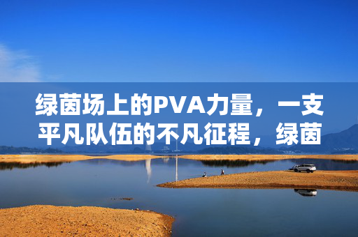绿茵场上的PVA力量，一支平凡队伍的不凡征程，绿茵场上的PVA力量，平凡队伍的不凡征程