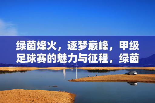 绿茵烽火，逐梦巅峰，甲级足球赛的魅力与征程，绿茵烽火逐梦巅峰，甲级足球赛的魅力征程