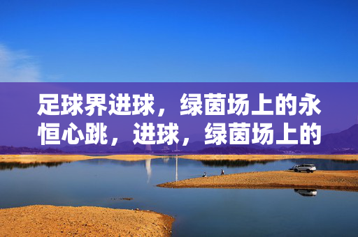 足球界进球，绿茵场上的永恒心跳，进球，绿茵场上的永恒心跳