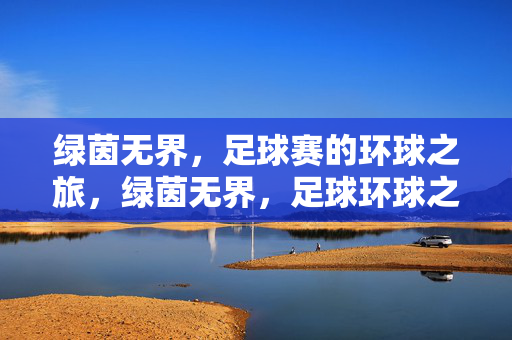 绿茵无界，足球赛的环球之旅，绿茵无界，足球环球之旅