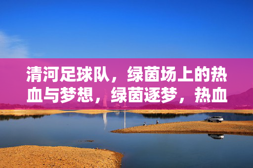 清河足球队，绿茵场上的热血与梦想，绿茵逐梦，热血清河