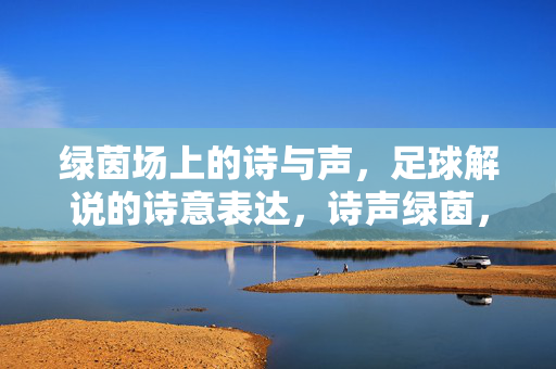绿茵场上的诗与声，足球解说的诗意表达，诗声绿茵，足球解说的诗意表达