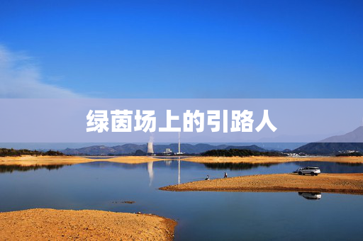 绿茵场上的引路人