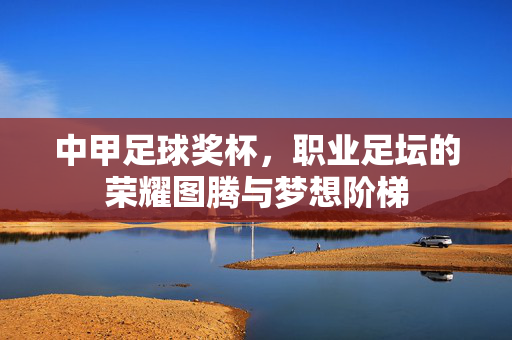 中甲足球奖杯，职业足坛的荣耀图腾与梦想阶梯