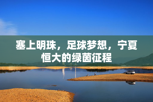 塞上明珠，足球梦想，宁夏恒大的绿茵征程
