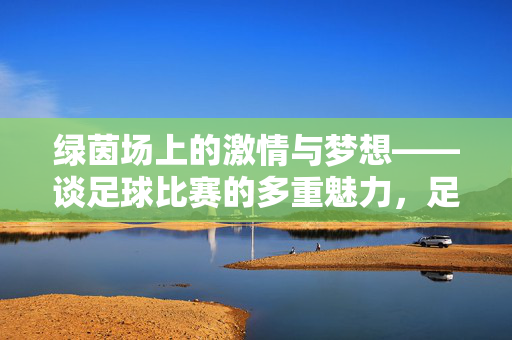 绿茵场上的激情与梦想——谈足球比赛的多重魅力，足球比赛的多重魅力，绿茵场上的激情与梦想