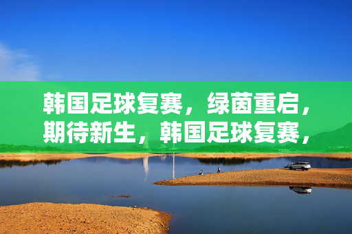 韩国足球复赛，绿茵重启，期待新生，韩国足球复赛，绿茵重启，新生可期