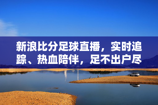 新浪比分足球直播，实时追踪、热血陪伴，足不出户尽享绿茵激情，新浪比分足球直播，实时追踪热血陪伴，足不出户尽享绿茵激情