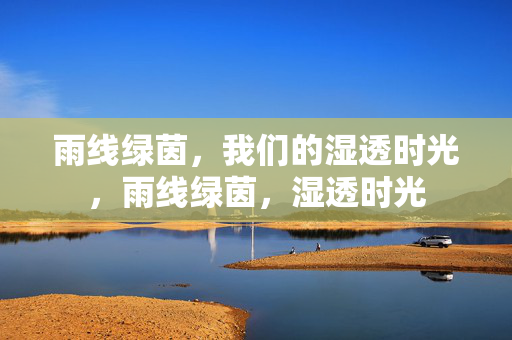 雨线绿茵,我们的湿透时光,雨线绿茵,湿透时光