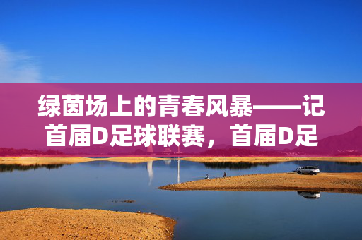 绿茵场上的青春风暴——记首届D足球联赛，首届D足球联赛，绿茵场上的青春风暴