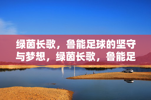 绿茵长歌，鲁能足球的坚守与梦想，绿茵长歌，鲁能足球的坚守与梦想
