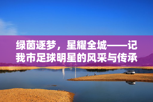 绿茵逐梦，星耀全城——记我市足球明星的风采与传承，星耀全城，绿茵逐梦传风采