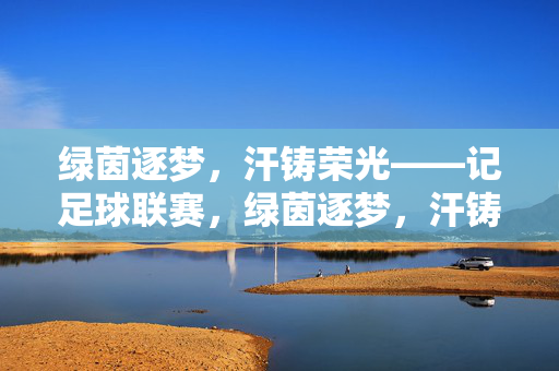 绿茵逐梦，汗铸荣光——记足球联赛，绿茵逐梦，汗铸荣光——足球联赛