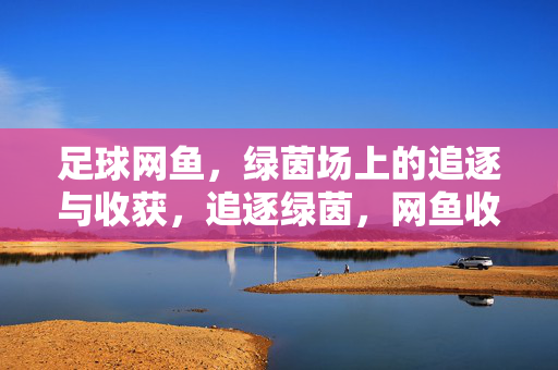足球网鱼，绿茵场上的追逐与收获，追逐绿茵，网鱼收获