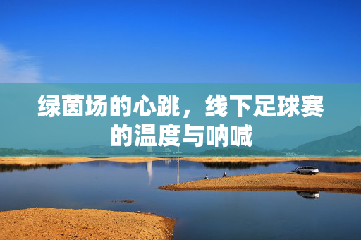 绿茵场的心跳，线下足球赛的温度与呐喊