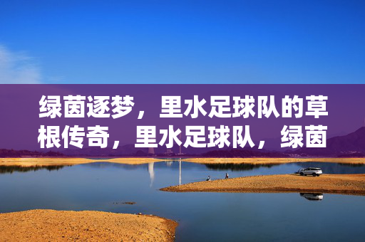 绿茵逐梦，里水足球队的草根传奇，里水足球队，绿茵逐梦的草根传奇