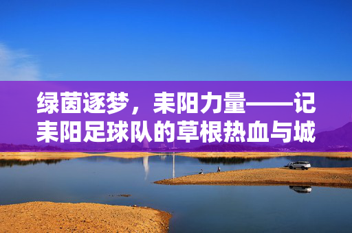 绿茵逐梦，耒阳力量——记耒阳足球队的草根热血与城市记忆，绿茵逐梦耒阳，草根热血与城市记忆