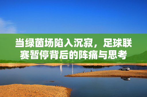 当绿茵场陷入沉寂，足球联赛暂停背后的阵痛与思考