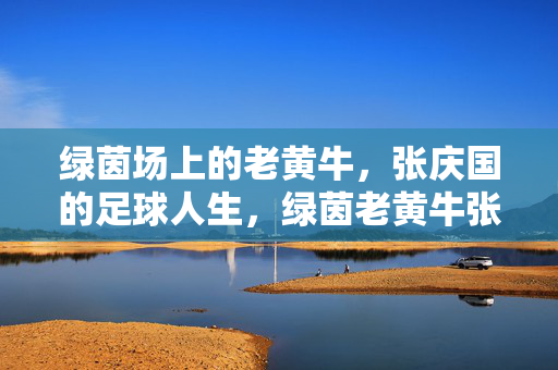绿茵场上的老黄牛，张庆国的足球人生，绿茵老黄牛张庆国的足球人生