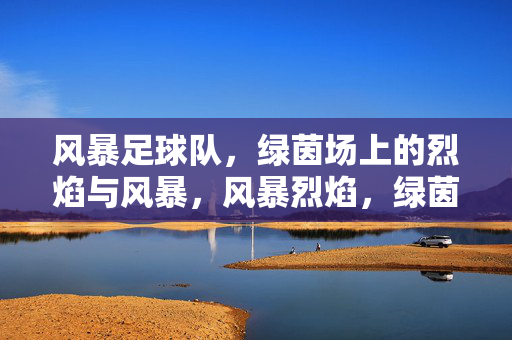 风暴足球队，绿茵场上的烈焰与风暴，风暴烈焰，绿茵疾风烈焰