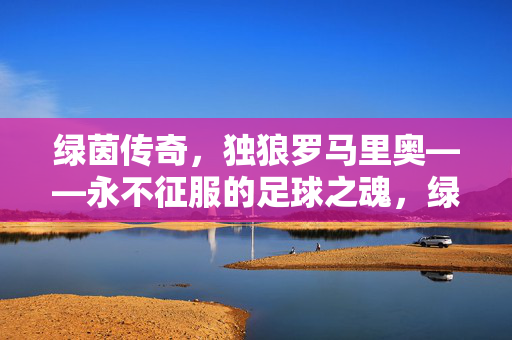 绿茵传奇，独狼罗马里奥——永不征服的足球之魂，绿茵独狼罗马里奥，永不征服的足球之魂