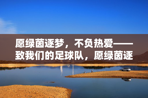 愿绿茵逐梦，不负热爱——致我们的足球队，愿绿茵逐梦，不负热爱——致我们的足球队