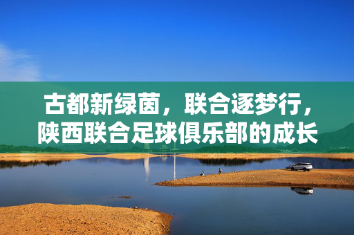 古都新绿茵，联合逐梦行，陕西联合足球俱乐部的成长与传承，陕西联合，古都绿茵梦的成长与传承