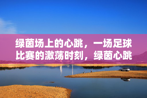 绿茵场上的心跳，一场足球比赛的激荡时刻，绿茵心跳，足球比赛的激荡时刻