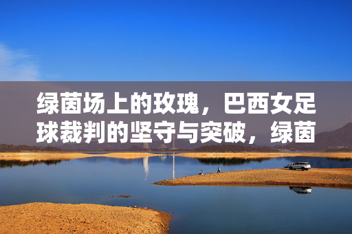 绿茵场上的玫瑰，巴西女足球裁判的坚守与突破，绿茵玫瑰，巴西女足球裁判的坚守与突破