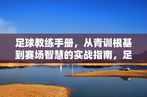 足球教练手册，从青训根基到赛场智慧的实战指南，足球教练实战指南，从青训根基到赛场智慧