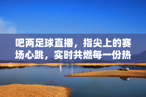 吧两足球直播，指尖上的赛场心跳，实时共燃每一份热爱，指尖赛场心跳，足球直播共燃热爱