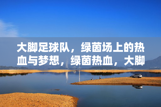 大脚足球队，绿茵场上的热血与梦想，绿茵热血，大脚逐梦