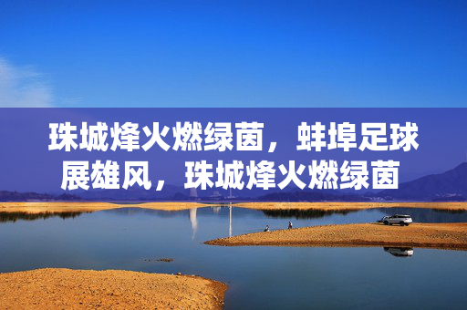 珠城烽火燃绿茵，蚌埠足球展雄风，珠城烽火燃绿茵 蚌埠足球展雄风