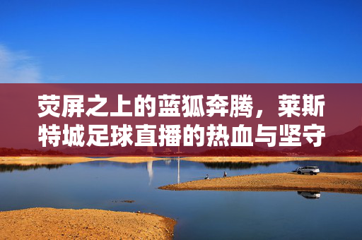 荧屏之上的蓝狐奔腾，莱斯特城足球直播的热血与坚守，荧屏蓝狐奔腾，莱斯特城足球直播的热血坚守