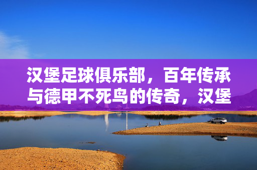 汉堡足球俱乐部，百年传承与德甲不死鸟的传奇，汉堡，百年传承的德甲不死鸟传奇