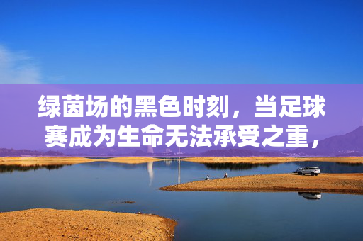 绿茵场的黑色时刻，当足球赛成为生命无法承受之重，绿茵场黑色时刻，足球赛生命无法承受之重