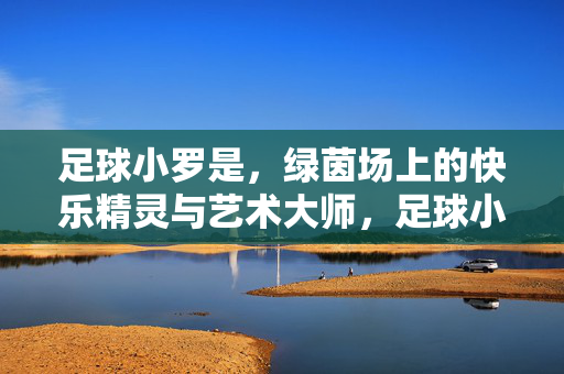 足球小罗是，绿茵场上的快乐精灵与艺术大师，足球小罗，绿茵场上的快乐精灵与艺术大师