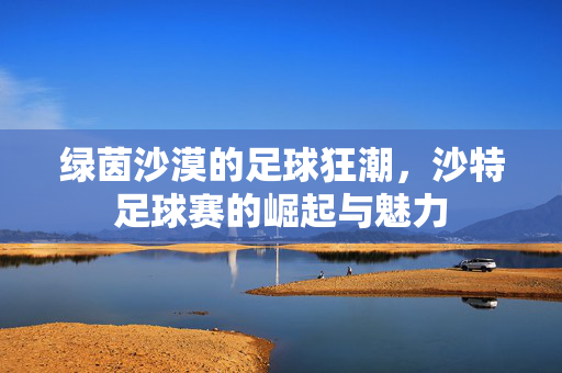 绿茵沙漠的足球狂潮，沙特足球赛的崛起与魅力