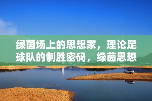 绿茵场上的思想家，理论足球队的制胜密码，绿茵思想家，理论足球队的制胜密码