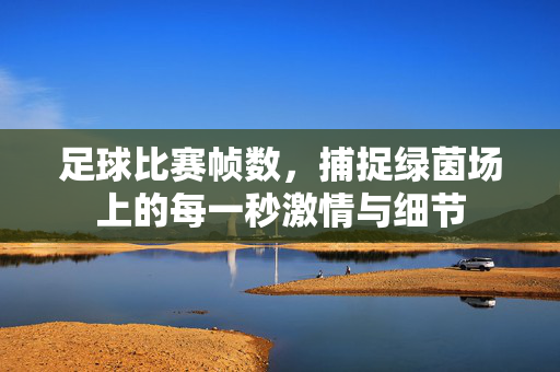 足球比赛帧数，捕捉绿茵场上的每一秒激情与细节