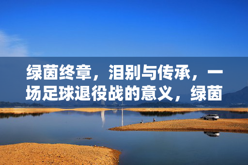绿茵终章，泪别与传承，一场足球退役战的意义，绿茵终章，泪别传承，足球退役战的意义