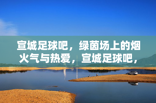 宣城足球吧，绿茵场上的烟火气与热爱，宣城足球吧，绿茵烟火气与热爱