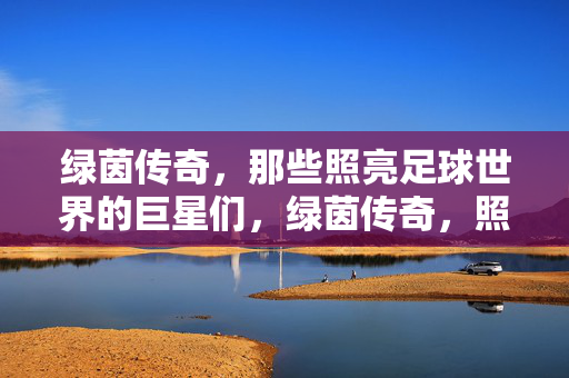 绿茵传奇，那些照亮足球世界的巨星们，绿茵传奇，照亮足球世界的巨星