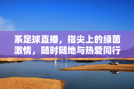 系足球直播，指尖上的绿茵激情，随时随地与热爱同行