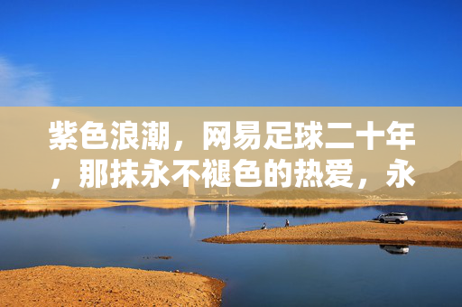 紫色浪潮，网易足球二十年，那抹永不褪色的热爱，永不褪色的紫色浪潮，网易足球二十年热爱